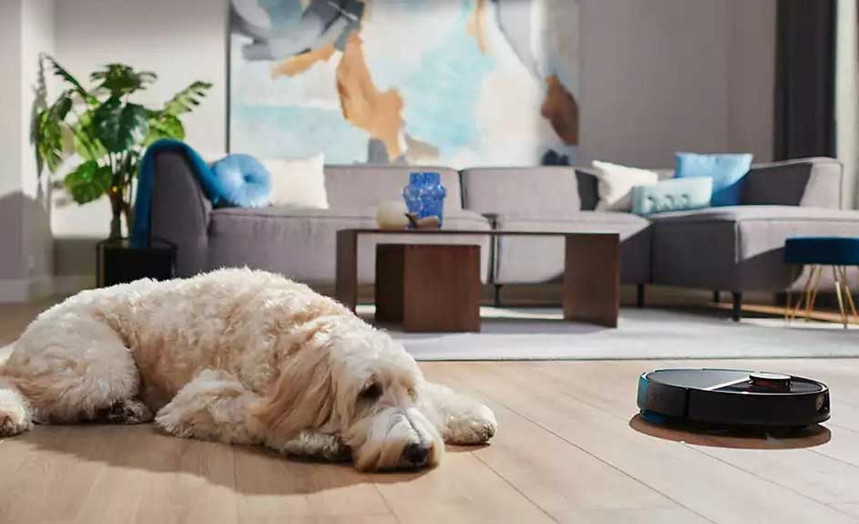 Op een houten vloer ligt een hond, naast een zwarte robotstofzuiger. Achtergrond: bank, tafel en planten.