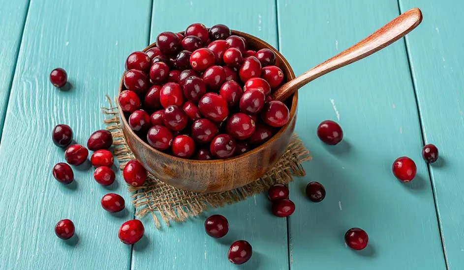 Un bol en bois rempli d'airelles rouges est posé sur une toile de jute sur une table en bois bleu, avec une cuillère en bois.