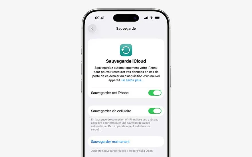 Un iPhone présente l’écran « Back up in iCloud » en néerlandais, avec texte explicatif et interrupteurs verts pour activer les sauvegardes.