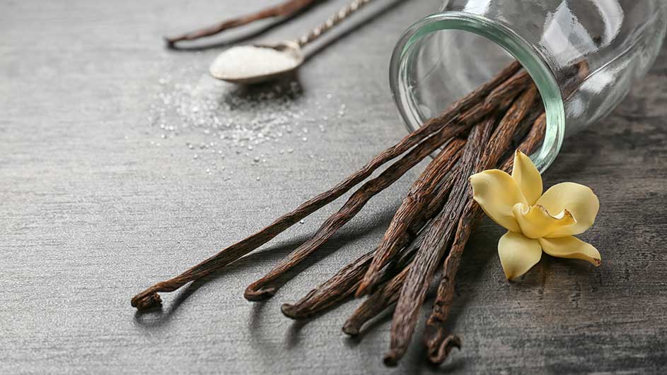 Vanillestokken in een glazen pot naast een gele bloem, lepel met suiker en suikerpoeder op een grijze ondergrond.