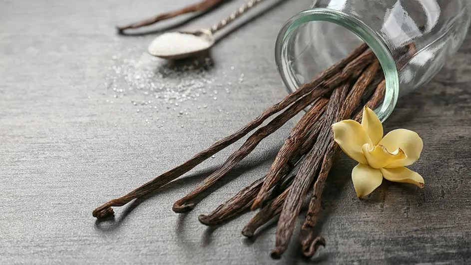 Gousses de vanille dans un pot en verre près d'une fleur jaune, sur une table grise avec une cuillère et du sucre.