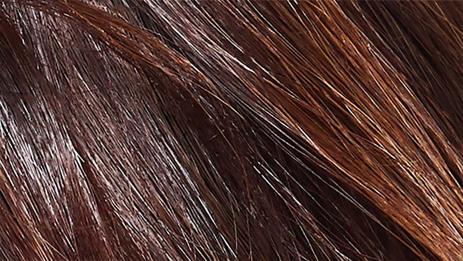 Een close-up van lange, glanzende haren in donkerbruine en kastanjebruine tinten, met subtiele highlights.