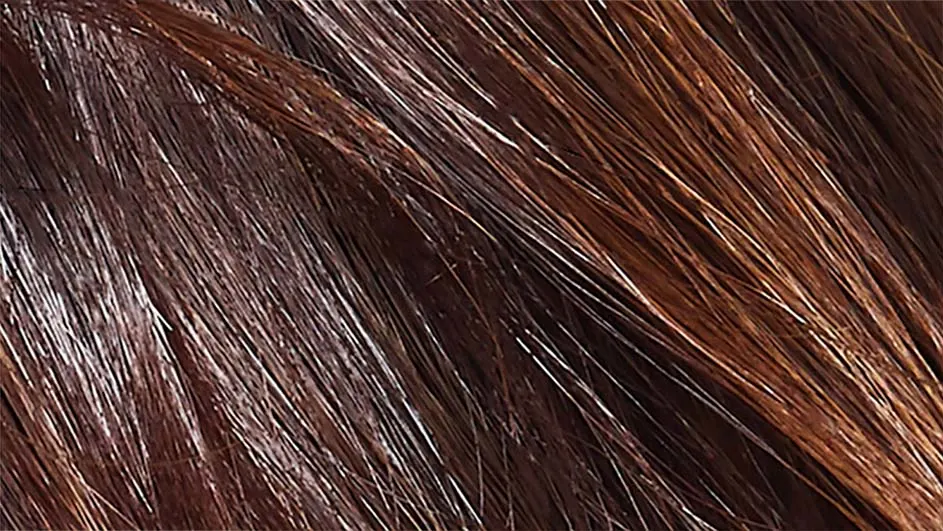 Gros plan sur des mèches de cheveux brun foncé et châtain clair, avec une texture brillante.