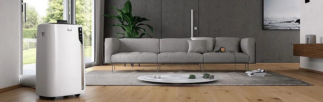 White air conditioner by window, grey sofa, plant, and table on a rug in a living room.