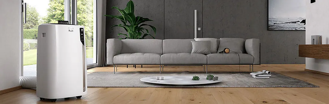 Intérieur : climatiseur blanc, canapé gris, plante verte, tapis gris et parquet clair.