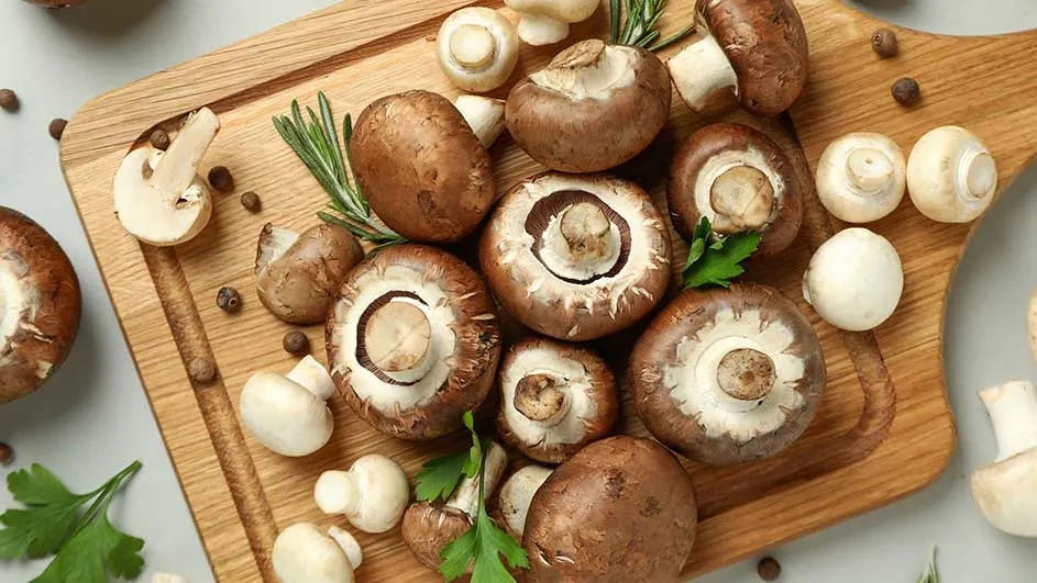 Diverse champignons en kruiden op een houten snijplank, tegen een grijze achtergrond.