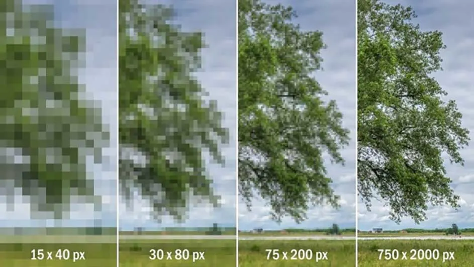 Vierkante afbeelding toont boombladeren en een veld in toenemende resolutie, van een lage, gepixelde weergave tot een scherpe, gedetailleerde weergave.