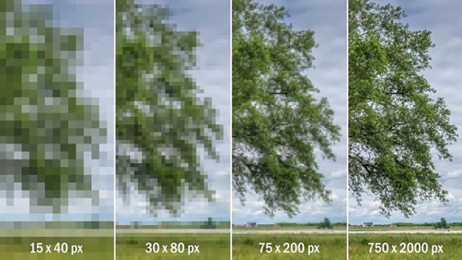 Quatre images côte à côte montrent un arbre avec des résolutions croissantes, de pixellisée à très détaillée.