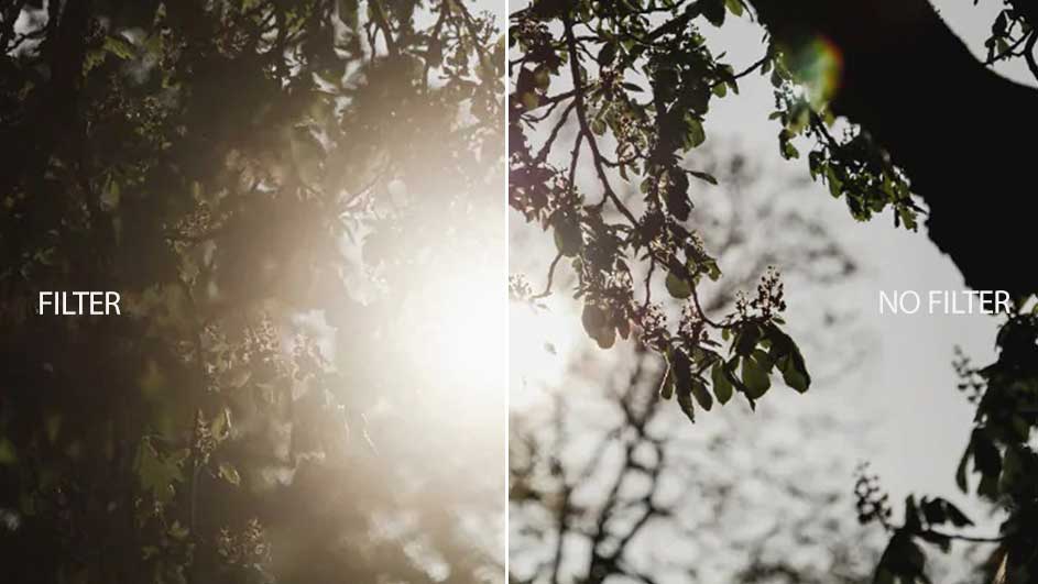 Image divisée : à gauche, feuillage flou avec filtre solaire ; à droite, branches nettes sans filtre, ciel clair.