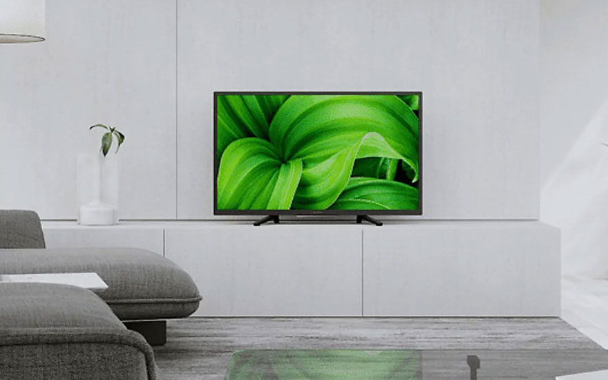 Un téléviseur noir affiche des feuilles vertes sur un meuble blanc, avec un canapé gris et une plante à proximité.