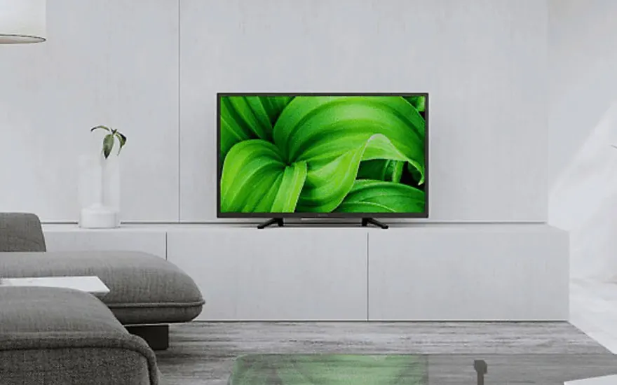 Un téléviseur noir affiche des feuilles vertes sur un meuble blanc, avec un canapé gris et une plante à proximité.