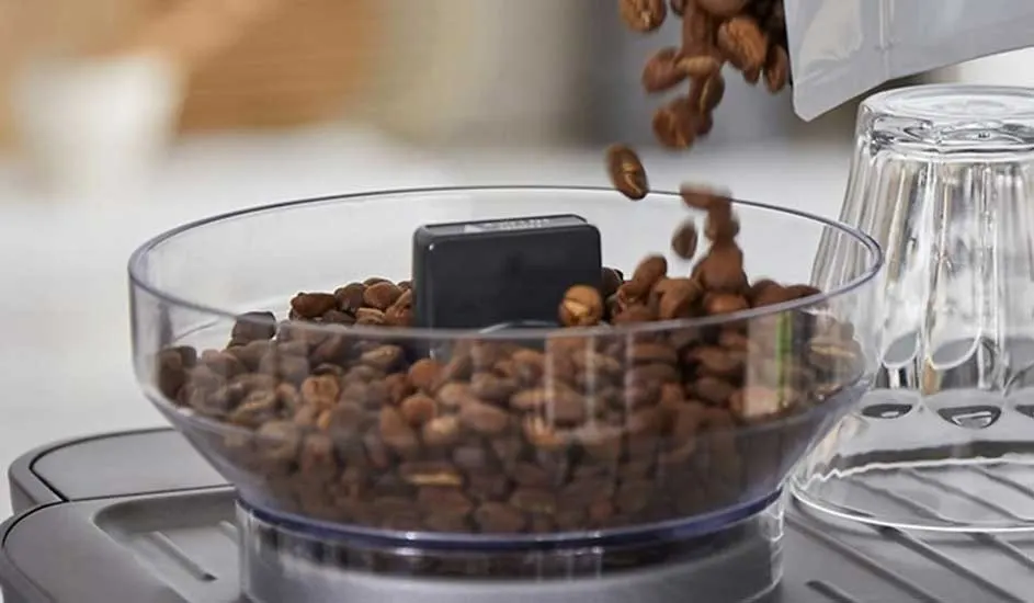 Brown coffee beans tumble into a clear grinder hopper, filling the transparent bowl above a sleek machine, ready for a fresh brew
