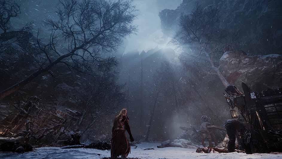Besneeuwd bos met kale bomen en nevelige bergen. Er ligt sneeuw op de grond. Er staat een wrakstuk van een boot.