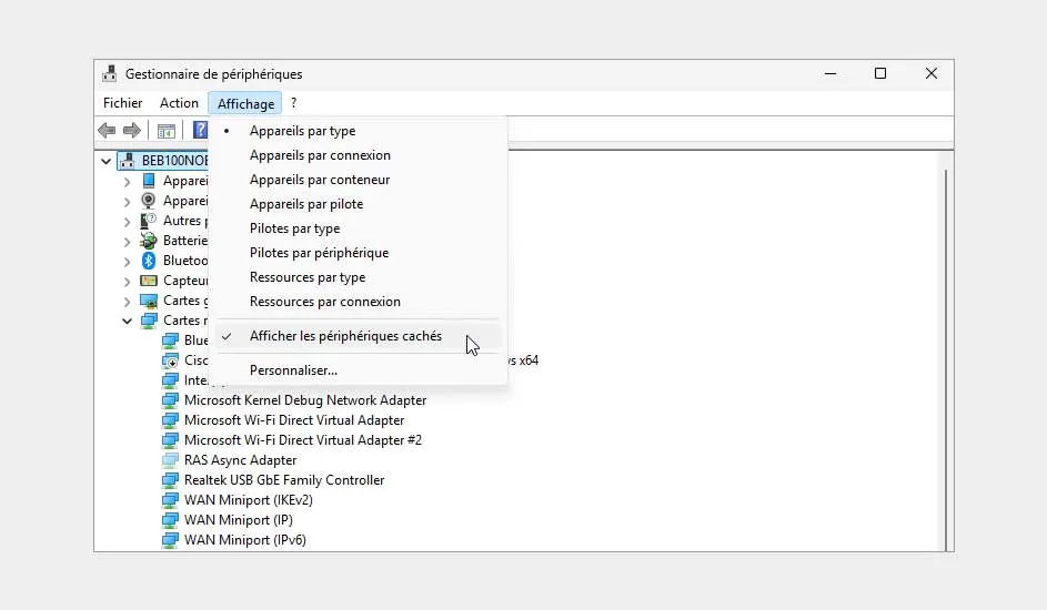 Fenêtre blanche "Gestionnaire de périphériques" ouverte. Le menu déroulant "Affichage" montre "Afficher les périphériques cachés" coché.