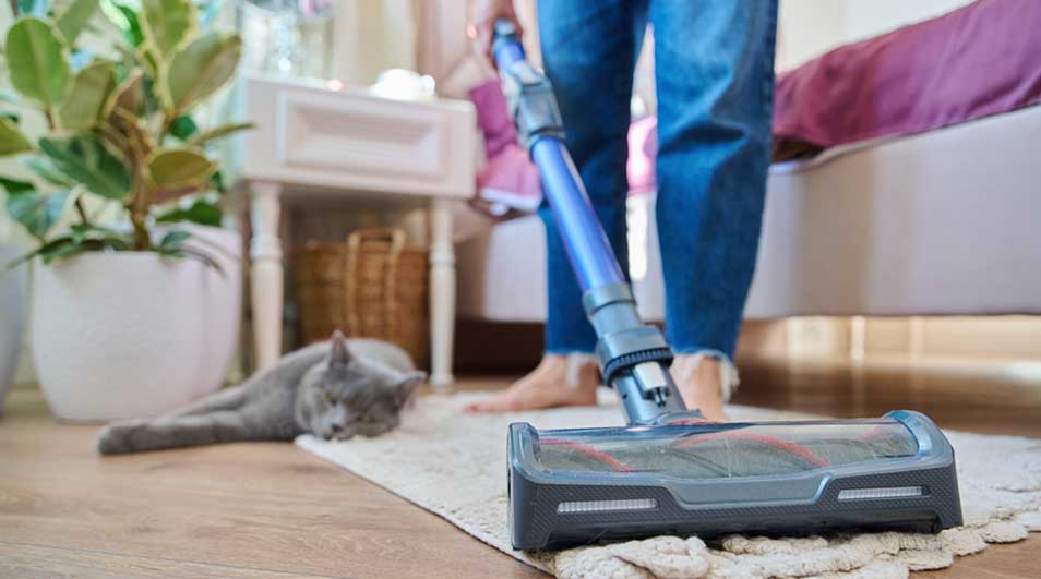 Un aspirateur bleu et gris sur un tapis beige, avec un chat gris couché à côté. Une plante verte est visible à gauche.