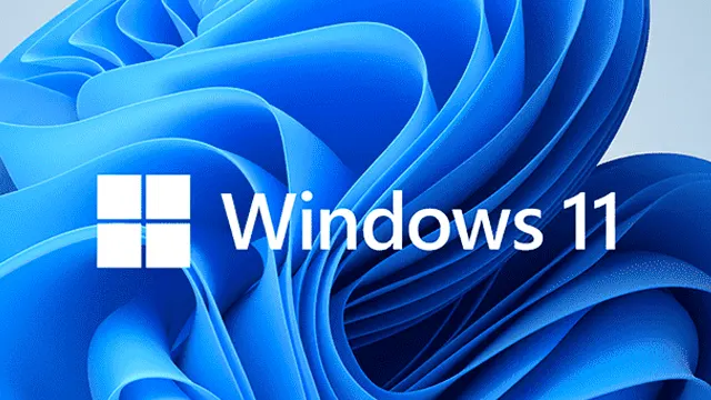 Microsoft - Windows 11