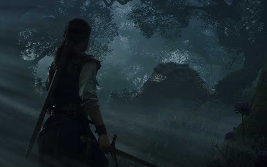 In een donkere, mistige woudscène nadert een avonturier met getrokken zwaard een gigantisch verborgen wezen tussen de bomen en struiken.