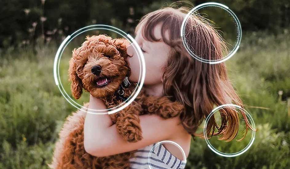Klein meisje knuffelt vrolijke hond in groen veld, met lichtgevende cirkels die focussen op hun gezichten en zachte vacht.