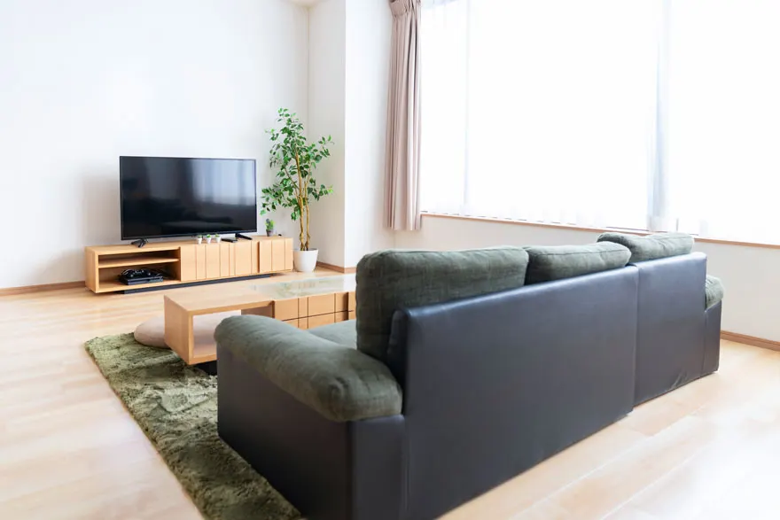 Salon clair avec canapé gris et vert, tapis vert, meuble TV en bois clair et plante près de la fenêtre.
