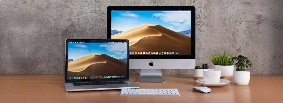 Two screens display desert scenes, with keyboard, mouse, and plants on a wooden desk against a gray wall.