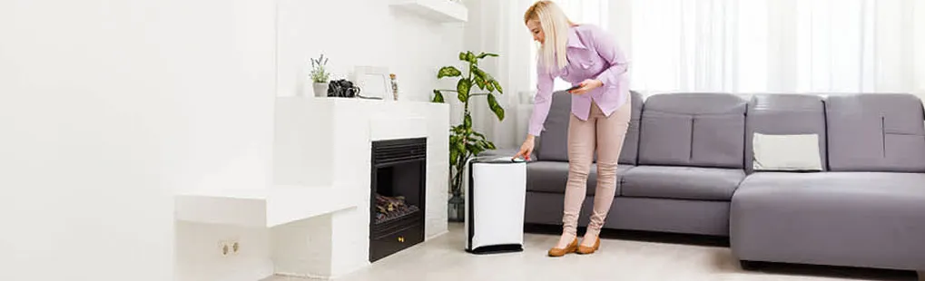 Living room scene: Air purifier stands near a grey couch. A white fireplace is to the left with decor on the mantle and a green plant nearby.