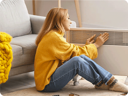 Product image of category Elektrische verwarming voor in huis
