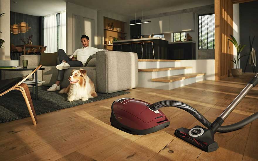 Salon lumineux avec parquet, aspirateur bordeaux au premier plan. Canapé gris, chien et escaliers vers la cuisine en arrière-plan.