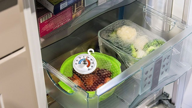 Vue intérieure d'un réfrigérateur avec des aliments dans un bol vert et un récipient en plastique transparent. Un thermomètre est posé sur le bol.