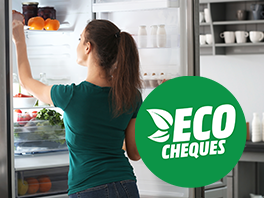 Payer en ligne avec des éco-chèques