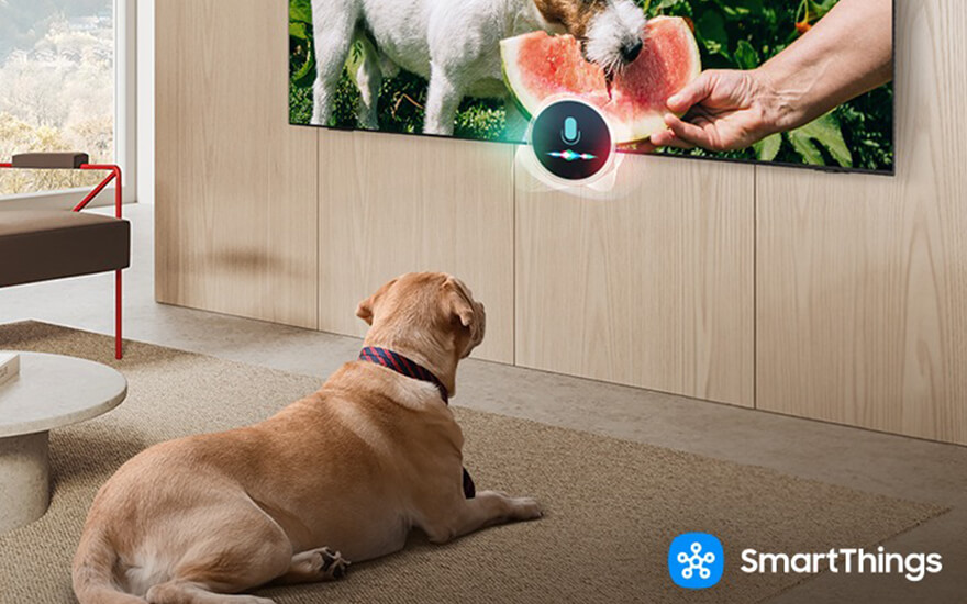 Een hond ligt op een beige tapijt voor een tv aan een houten muur. Op het scherm is een hond die watermeloen eet.