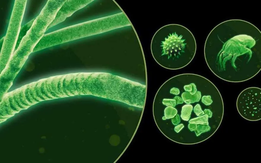 Une vue agrandie montre des fibres et de petites particules comme pollen, acariens et poussière, en cercles verts sur fond noir.