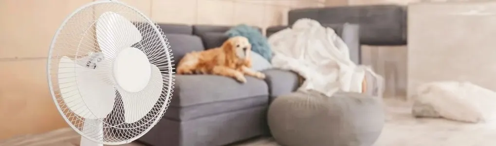 Witte ventilator vooraan; grijze sofa met kussen en deken; grijze poef; witte doos achteraan.