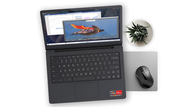 Portátil abierto con teclado negro, pantalla con tortuga marina, ratón, alfombrilla gris y planta en maceta blanca.