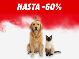 Hasta 30% en proyectores