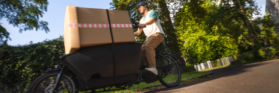 Persona transporta cajas grandes en una bicicleta de carga, circulando por un camino rodeado de árboles y vegetación.