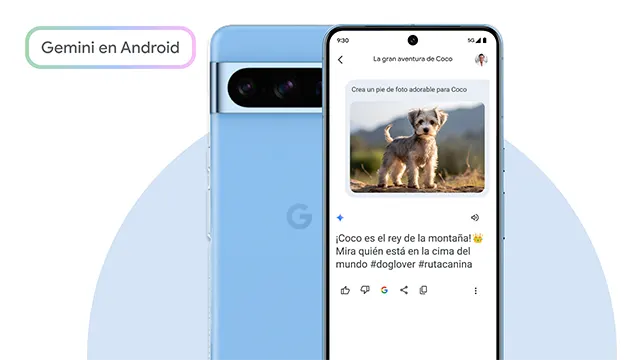 Dos teléfonos azules muestran una publicación con un perro en una montaña.