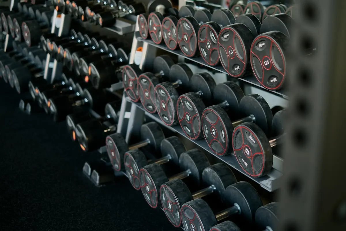 Mancuernas organizadas en un soporte de gimnasio.
