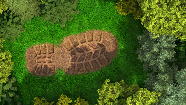 Huella marrón en hierba verde, rodeada de árboles verdes. Vista aérea.