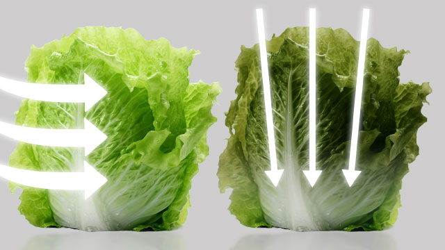 Comparativa de lechugas donde el aire frío rodea de forma uniforme el alimento, manteniéndolo fresco, frente a otra con flujo directo que provoca deshidratación.