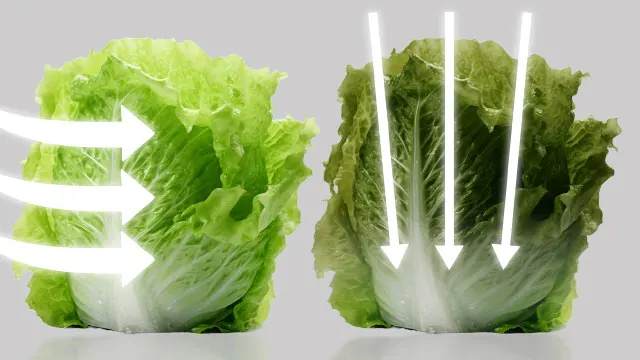 Comparativa de lechugas donde el aire frío rodea de forma uniforme el alimento, manteniéndolo fresco, frente a otra con flujo directo que provoca deshidratación.