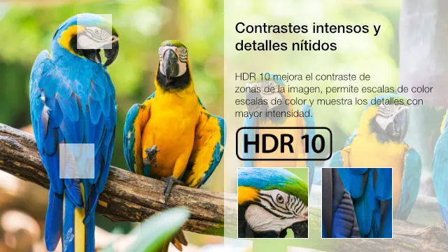 No hay descripción de la imagen.