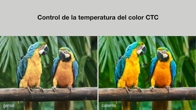 No hay descripción de la imagen.