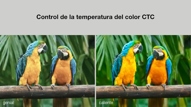 No hay descripción de la imagen.