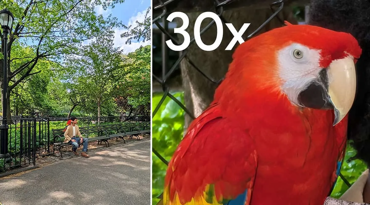 Comparativa de cámara: vista de parque con persona en un banco (izq.) y acercamiento 30x a un guacamayo rojo (der.).