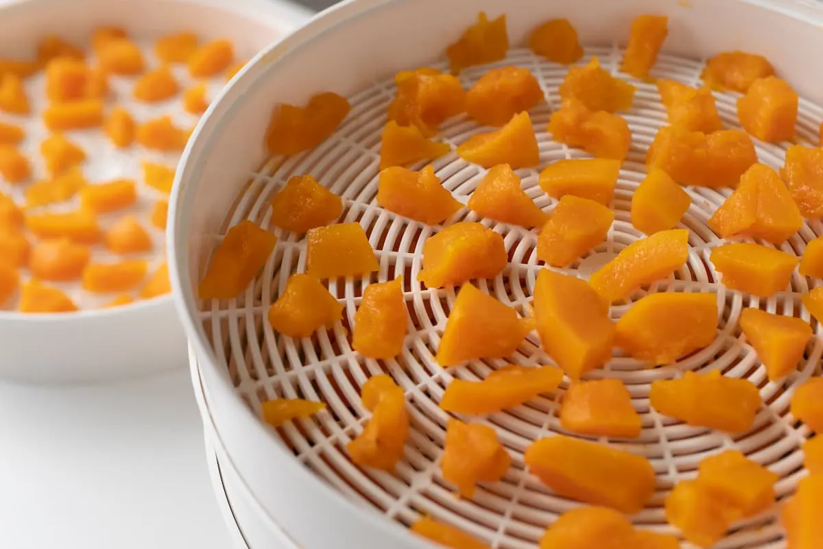 Trozos de fruta naranja deshidratándose en una bandeja.
