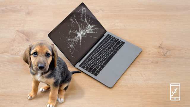 Cachorro marrón y negro junto a un portátil roto sobre un suelo de madera clara. La pantalla del portátil está agrietada.