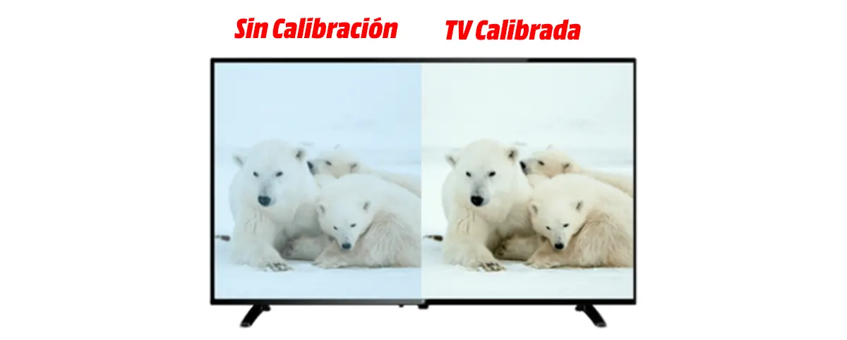 Pantalla dividida que muestra osos polares; lado izquierdo azulado, etiquetado "Sin Calibración", y lado derecho más claro, "TV Calibrada".
