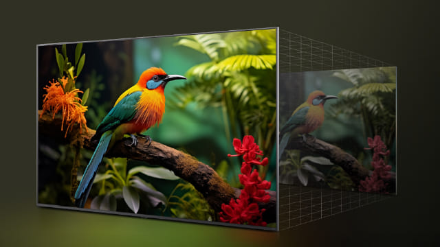 Televisor muestra ave tropical multicolor sobre rama en selva, resaltando colores intensos.