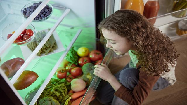 El interior de un frigorífico con alimentos sobre un vidrio de seguridad.