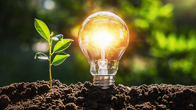 Un foco incandescente brilla junto a una planta joven en tierra oscura, con un fondo verde borroso.